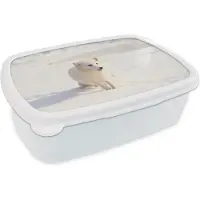 MuchoWow Broodtrommel Wit - Lunchbox - Brooddoos - Vos - Sneeuw - Wit - 18x12x6 cm - Volwassenen