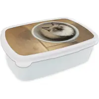 MuchoWow Broodtrommel Wit - Lunchbox - Brooddoos - Een Ragdoll kat in een plastic emmer - 18x12x6 cm - Volwassenen