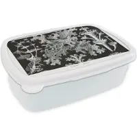MuchoWow Broodtrommel Wit - Lunchbox - Brooddoos - Kunst - Koraal - Ernst Haeckel - Oude meesters - Natuur - 18x12x6 cm - Volwassenen