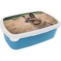 MuchoWow Broodtrommel Blauw - Lunchbox - Brooddoos - Een Duitse met zijn oren omhoog - 18x12x6 cm - Kinderen - Jongen