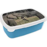 MuchoWow Broodtrommel Blauw - Lunchbox - Brooddoos - Stoeiende olifanten - 18x12x6 cm - Kinderen - Jongen