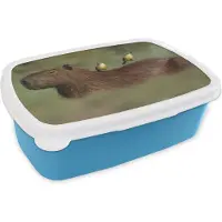 MuchoWow Broodtrommel Blauw - Lunchbox - Brooddoos - Twee vogels zitten op een Capibara - 18x12x6 cm - Kinderen - Jongen