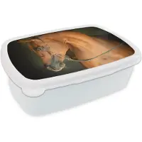 MuchoWow Broodtrommel Wit - Lunchbox - Brooddoos - Paard - Bruin - Hoofdstel - 18x12x6 cm - Volwassenen