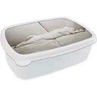 MuchoWow Broodtrommel Wit - Lunchbox Labrador puppy op bank - Brooddoos 18x12x6 cm - Brood lunch box - Broodtrommels voor kinderen en volwassenen