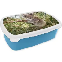MuchoWow Broodtrommel Blauw - Lunchbox - Brooddoos - Koala - Bladeren - Takken - Kinderen - Jongens - Meiden - 18x12x6 cm - Kinderen - Jongen