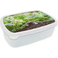 MuchoWow Broodtrommel Wit - Lunchbox - Brooddoos - Dier - Tuin - Mol - 18x12x6 cm - Volwassenen