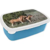 MuchoWow Broodtrommel Blauw - Lunchbox - Brooddoos - Paarden - Veulen - Gras - 18x12x6 cm - Kinderen - Jongen