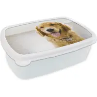 MuchoWow Broodtrommel Wit - Lunchbox - Brooddoos - Portret van een super mooie Golden Retriever - 18x12x6 cm - Volwassenen