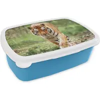 MuchoWow Broodtrommel Blauw - Lunchbox - Brooddoos - Tijger - Bos - Lopen - 18x12x6 cm - Kinderen - Jongen