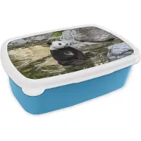 MuchoWow Broodtrommel Blauw - Lunchbox - Brooddoos - Panda - Rivier - Steen - 18x12x6 cm - Kinderen - Jongen