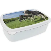 MuchoWow Broodtrommel Wit - Lunchbox - Brooddoos - Koe - Gras - Weiland - 18x12x6 cm - Volwassenen