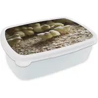 MuchoWow Broodtrommel Wit - Lunchbox - Brooddoos - Veel baby kuikentjes in het zaagsel - 18x12x6 cm - Volwassenen