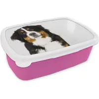MuchoWow Broodtrommel Roze - Lunchbox - Brooddoos - Portretfoto van een Berner Sennenhond - 18x12x6 cm - Kinderen - Meisje
