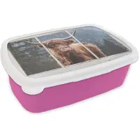 MuchoWow Broodtrommel Roze - Lunchbox - Brooddoos - Schotse hooglander - Doorkijk - Uitzicht - 18x12x6 cm - Kinderen - Meisje
