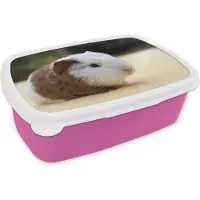 MuchoWow Broodtrommel Roze - Lunchbox - Brooddoos - Jonge cavia - 18x12x6 cm - Kinderen - Meisje