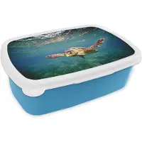 MuchoWow Broodtrommel Blauw - Lunchbox - Brooddoos - Schildpad - Water - Blauw - 18x12x6 cm - Kinderen - Jongen