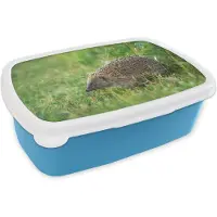 MuchoWow Broodtrommel Blauw - Lunchbox - Brooddoos - Egel staat in grasveld - 18x12x6 cm - Kinderen - Jongen
