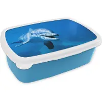MuchoWow Broodtrommel Blauw - Lunchbox - Brooddoos - Dolfijn - Water - Zee - 18x12x6 cm - Kinderen - Jongen