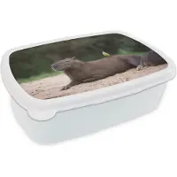 MuchoWow Broodtrommel Wit - Lunchbox - Brooddoos - Een Capibara met een klein vogeltje op zich - 18x12x6 cm - Volwassenen