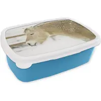MuchoWow Broodtrommel Blauw - Lunchbox - Brooddoos - Close-up van een fjord paard in de sneeuw - 18x12x6 cm - Kinderen - Jongen