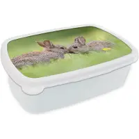 MuchoWow Broodtrommel Wit - Lunchbox - Brooddoos - Twee konijnen met de snuit tegen elkaar aan - 18x12x6 cm - Volwassenen