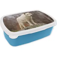 MuchoWow Broodtrommel Blauw - Lunchbox - Brooddoos - Wolf - Steen - Wit - 18x12x6 cm - Kinderen - Jongen