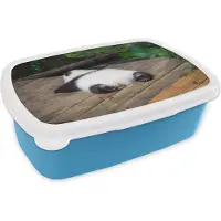 MuchoWow Broodtrommel Blauw - Lunchbox - Brooddoos - Dier - Panda - Slapen - 18x12x6 cm - Kinderen - Jongen