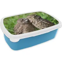 MuchoWow Broodtrommel Blauw - Lunchbox - Brooddoos - Uilen - Vogels - Gras - 18x12x6 cm - Kinderen - Jongen