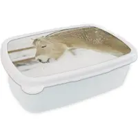 MuchoWow Broodtrommel Wit - Lunchbox - Brooddoos - Close-up van een fjord paard in de sneeuw - 18x12x6 cm - Volwassenen