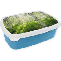 MuchoWow Broodtrommel Blauw - Lunchbox - Brooddoos - Berk - Bos - Lente - 18x12x6 cm - Kinderen - Jongen