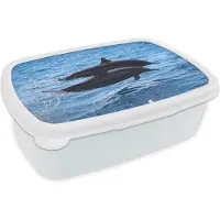 MuchoWow Broodtrommel Wit - Lunchbox - Brooddoos - Dolfijn - Zee - Dier - 18x12x6 cm - Volwassenen