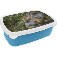 MuchoWow Broodtrommel Blauw - Lunchbox - Brooddoos - Apen - Stenen - Bos - 18x12x6 cm - Kinderen - Jongen