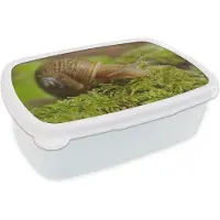 MuchoWow Broodtrommel Wit - Lunchbox - Brooddoos - Slak op mos - 18x12x6 cm - Volwassenen