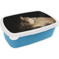 MuchoWow Broodtrommel Blauw - Lunchbox - Brooddoos - Tevreden arctische wolf - 18x12x6 cm - Kinderen - Jongen