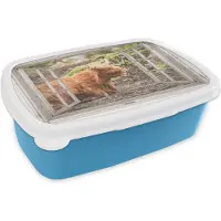 MuchoWow Broodtrommel Blauw - Lunchbox - Brooddoos - Schotse hooglander - Doorkijk - Natuur - Planten - 18x12x6 cm - Kinderen - Jongen