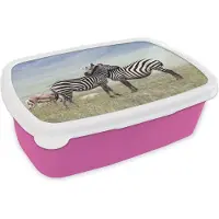 MuchoWow Broodtrommel Roze - Lunchbox - Brooddoos - Zebra's - Gras - Zwart - Wit - 18x12x6 cm - Kinderen - Meisje
