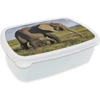 MuchoWow Broodtrommel Wit - Lunchbox - Brooddoos - Moeder en baby olifant door de savanne - 18x12x6 cm - Volwassenen