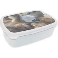 MuchoWow Broodtrommel Wit - Lunchbox - Brooddoos - Zwanen - Licht - Kuiken - 18x12x6 cm - Volwassenen