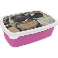 MuchoWow Broodtrommel Roze - Lunchbox - Brooddoos - Koeien - Dier - Gras - Macro - 18x12x6 cm - Kinderen - Meisje