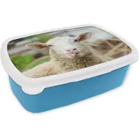 MuchoWow Broodtrommel Blauw - Lunchbox - Brooddoos - Schaap - Dieren - Wol - 18x12x6 cm - Kinderen - Jongen