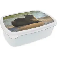 MuchoWow Broodtrommel Wit - Lunchbox - Brooddoos - Capibara liggend langs het water - 18x12x6 cm - Volwassenen