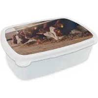 MuchoWow Broodtrommel Wit - Lunchbox - Brooddoos - Koe - Eten - Hooi - 18x12x6 cm - Volwassenen