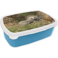 MuchoWow Broodtrommel Blauw - Lunchbox - Brooddoos - Baby egels in de natuur - 18x12x6 cm - Kinderen - Jongen