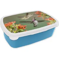 MuchoWow Broodtrommel Blauw - Lunchbox - Brooddoos - Kolibrie - Bloemen - Oranje - 18x12x6 cm - Kinderen - Jongen