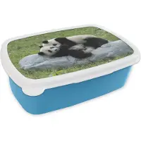 MuchoWow Broodtrommel Blauw - Lunchbox - Brooddoos - Pandas - Gras - Steen - 18x12x6 cm - Kinderen - Jongen