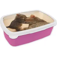 MuchoWow Broodtrommel Roze - Lunchbox - Brooddoos - Een kitten met zijn moeder - 18x12x6 cm - Kinderen - Meisje