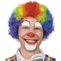 GoDan S.A Pruik clown multikleur volwassenen