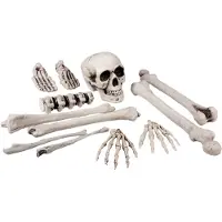 Boland Schedel en Beenderen decoratieset