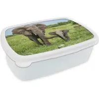 MuchoWow Broodtrommel Wit - Lunchbox - Brooddoos - Olifant - Natuur - Park - 18x12x6 cm - Volwassenen