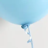 Globos Nordic Ballon Sluiters Met Lint Licht Blauw (100st)